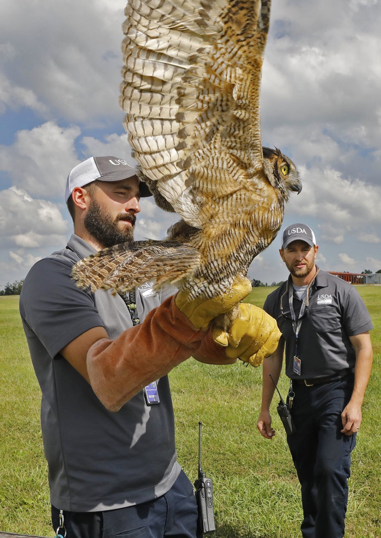 Keeping airplanes safe from birds is a full-time job